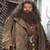  Care of Magical Creatures - Rubeus Hagrid